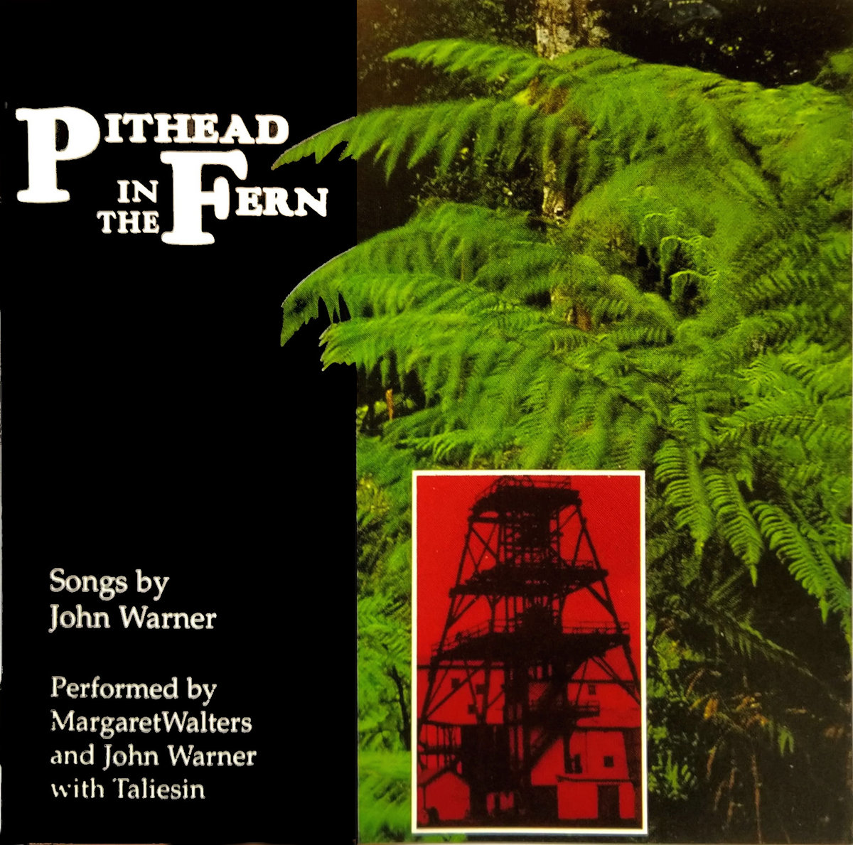 Pithead in the Fern