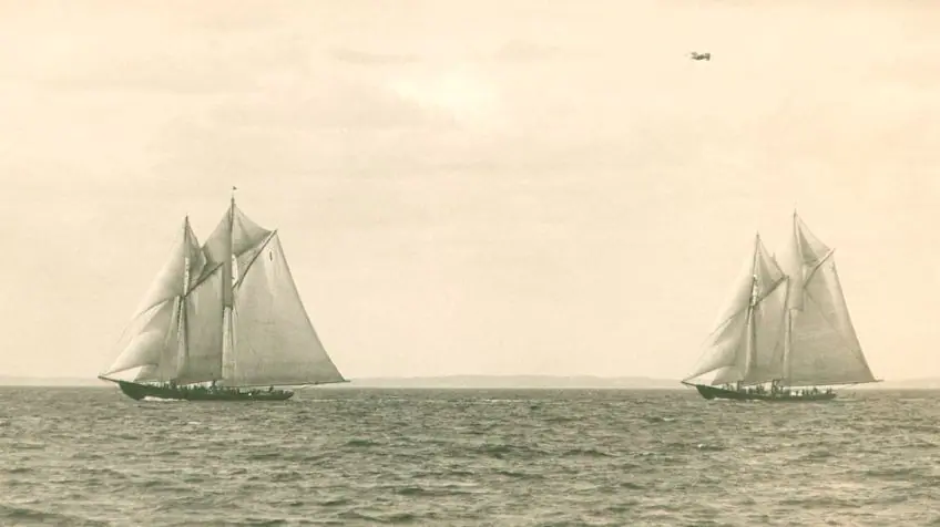 The Donzella and the Ceylon