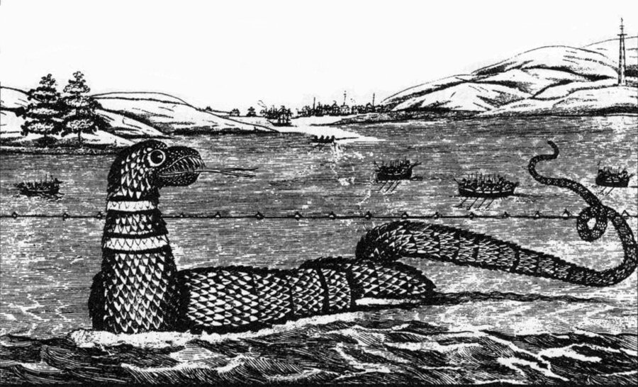 The Gloucester Sea Serpent