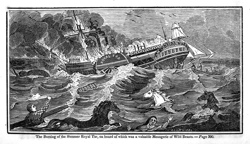 Burning of the Royal Tar